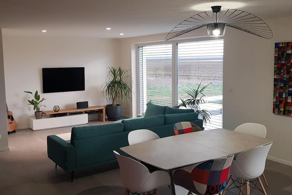 Maison Passive Avec Piscine Proche Colmar Logelheim エクステリア 写真
