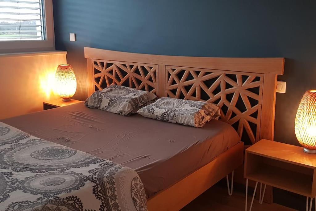 Maison Passive Avec Piscine Proche Colmar Logelheim エクステリア 写真